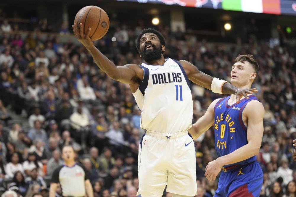 的常青树 的常青树